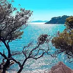 Horizon 5 Pied Dans L'eau Le Lavandou