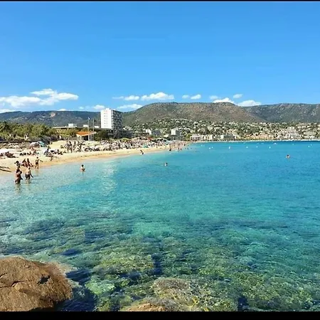 Horizon 5 Pied Dans L'eau