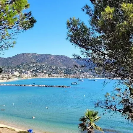 Horizon 5 Pied Dans L'eau *