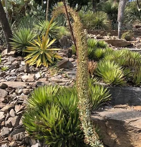 Apartman Horizon 5 Pied Dans L'eau *