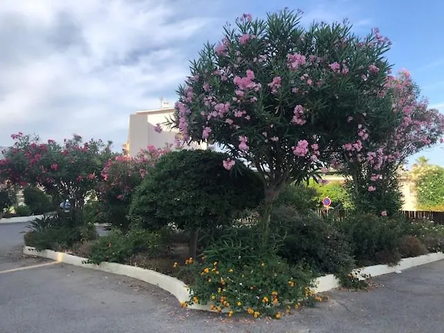 Apartman Horizon 5 Pied Dans L'eau *