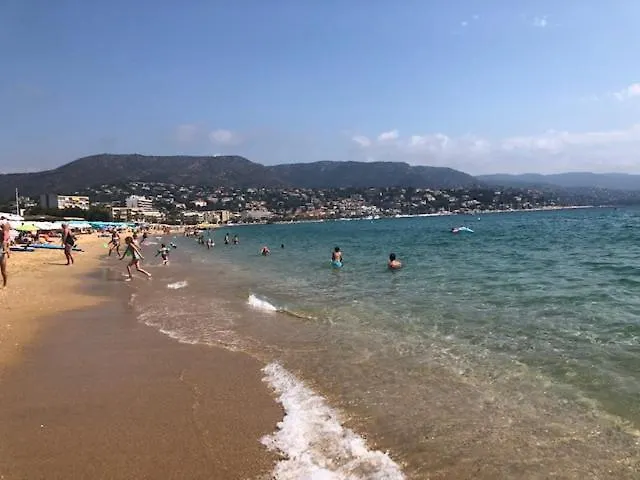 Horizon 5 Pied Dans L'eau 르 라방두