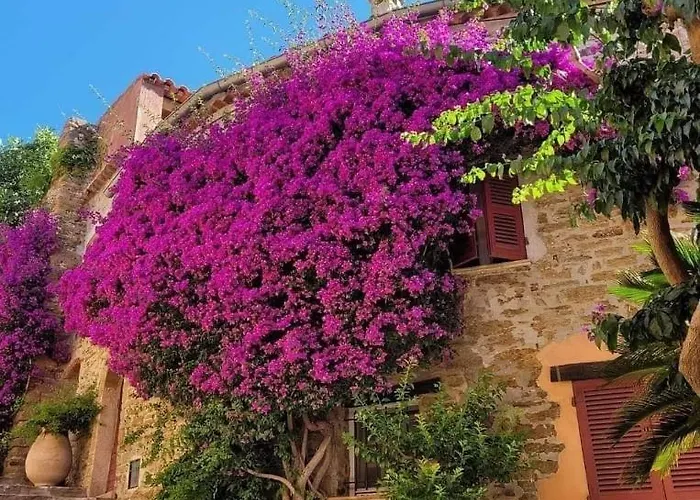 Apartman Horizon 5 Pied Dans L'eau *