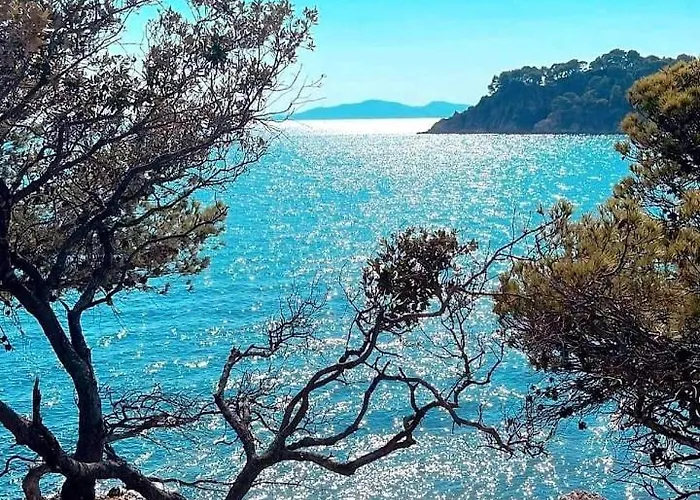 Horizon 5 Pied Dans L'eau 르 라방두