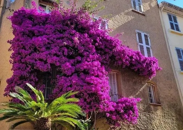 Horizon 5 Pied Dans L'eau Apartman